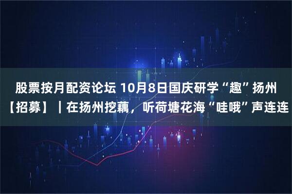 股票按月配资论坛 10月8日国庆研学“趣”扬州【招募】｜在扬州挖藕，听荷塘花海“哇哦”声连连